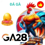 kjc368 Chương Trình Ưu Đãi Nổi Bật